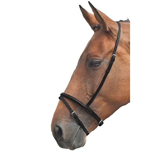 Image of Shires Blenheim Flash Noseband-Black Cob