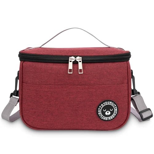 Image of BEHONA 6.4L Insulated Lunch Bag for Adults, Foldable Cooler Bag with Oxford Fabric & Aluminum Foil Lining, Office Gym Commute Lunch Tote (Burgundy)
