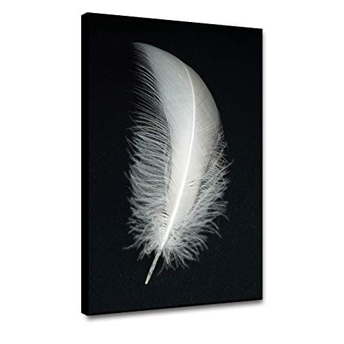 Image of Miueapera 12"x16" White Feather Art Framed Canvas Painting Feather Black Background Wall Picture Prints Modern Home Decor For Living Room Bedroom Hallway Poster Gifts For Family Friend