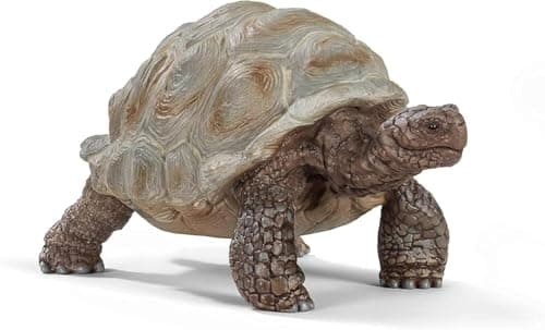 Image of SCHLEICH Wild Life - Giant Tortoise Figurine - Realistic Galapagos Turtle Figure with Detailed Skin Texture - Durable Wildlife Rescue Reptile Toy for Educational Play - Boys and Girls 3+ | 14824