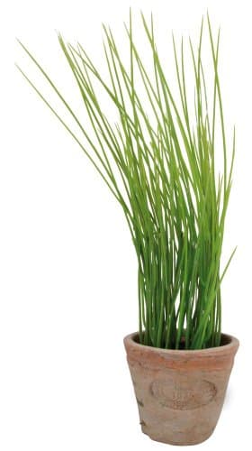 Image of Esschert's Design AH005 Small Artificial Aged Terracotta Pot - Chives