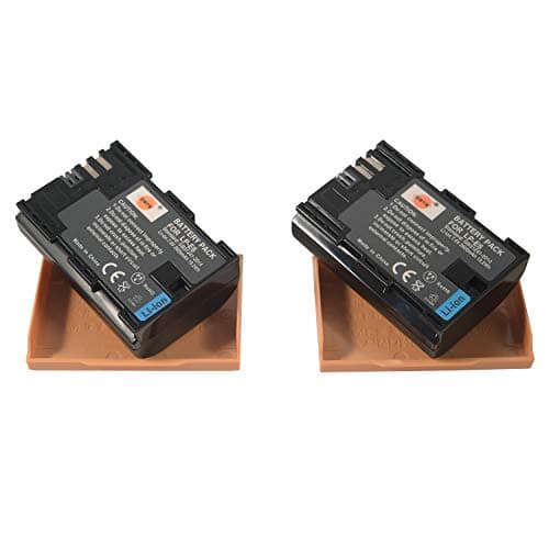 Image of DSTE 2PCS LP-E6 LPE6 LP-E6N Rechargeable Battery Compatible with Canon EOS 5D Mark II, 5D Mark III, 7D Mark II, 7D Mark III, 5DS, 6D, 7D, 60D, 60Da, 70D