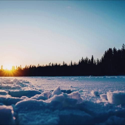 Image of Waiting Under Ice