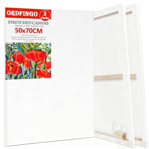 Image of Ordfingo Stretched Canvas for Painting - 3 Packs, 50x70CM Large Blank Artist Canvases with with Wedges, 280GSM, Triple Primed, Acid Free Painting Canvas Boards for Acrylic, Oil, Watercolor Paint
