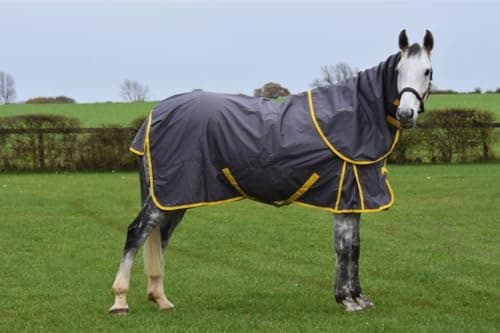 Image of Turnout Rug Detachable Neck 100g Combo Horse Turnout Rug With Detachable Neck Cover 600D Waterproof Horse Rug (6'0'')