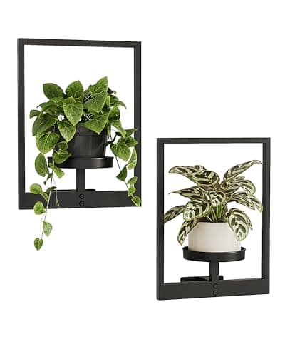 Image of Bamworld Plant Stand Indoor Wall Decor Metal Plant Hanger Indoor Hanging Plant Holder Wall-Mounted Planters Outdoor Plant Rack Black 2 Pack (Patent Design)