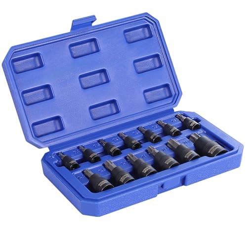 Image of WORKPRO 13-Piece Torx Bit Socket Set, Allen Socket Set, Torx Sockets(T8-T60), Premium S2 Steel Star Bits and Cr-V Sockets with Storage Case, 1/4", 3/8" and 1/2" Drive