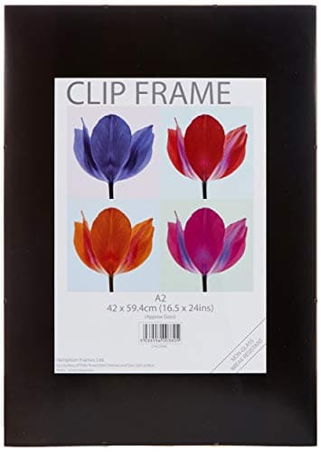 Image of Announce Metal Clip Frame A2