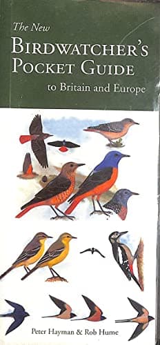 Image of Birdwatcher