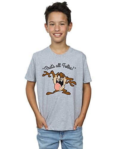 Image of LOONEY TUNES Boys Taz That's All Folks T-Shirt 9-11 Years Sport Grey