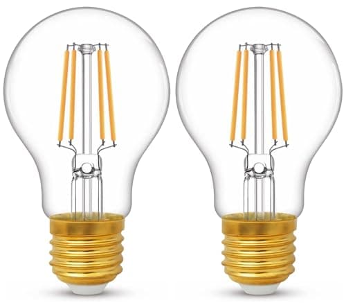 Image of YUNRRD E27 Screw LED Edison Bulb,6W(60 Watts Equivalent),Warm White 2700K E27 Light Bulb,Energy Saving Screw in Light Bulb,A60 Clear ES LED Filament Bulbs,600 Lumen,220-240V,Non-Dimmable,Pack of 2