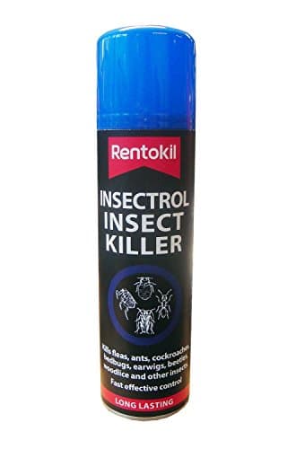 Image of 2 x Rentokil PSI36 Insectrol Insect Killer 250ml Aerosol