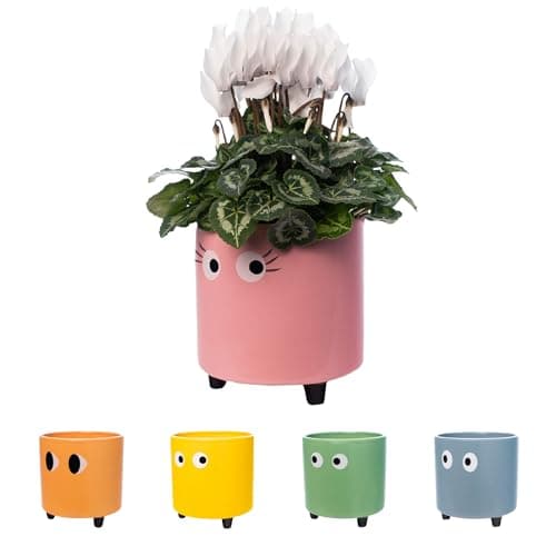 Image of Fisura - Original Eyes Plant Pot - Indoor Ceramic Planter with Legs for Cactus & Succulents, Decorative Flower Pot, Gift Idea for Plant Lovers, 13 x 12.5 cm (Pink)