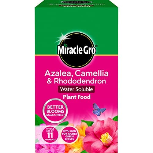 Image of Miracle-Gro Azalea, Camellia & Rhododendron Soluble Plant Food, 1 kg