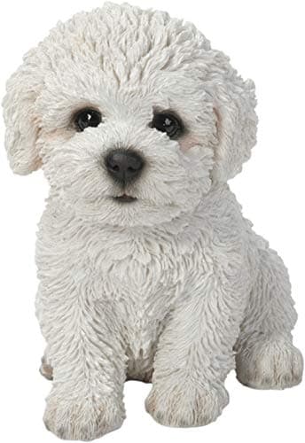 Image of Vivid Arts Pet Pals Bichon Frise Puppy PP-BCHN-F