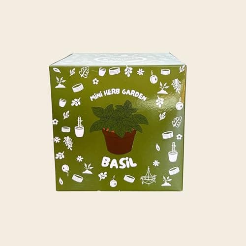 Image of Let’s Grow Basil Kit for Kids & Beginners | Complete Herb Growing Set with Basil Seeds, Coir Pot, Coir Vital Grow Disc, Plant Label & Guide