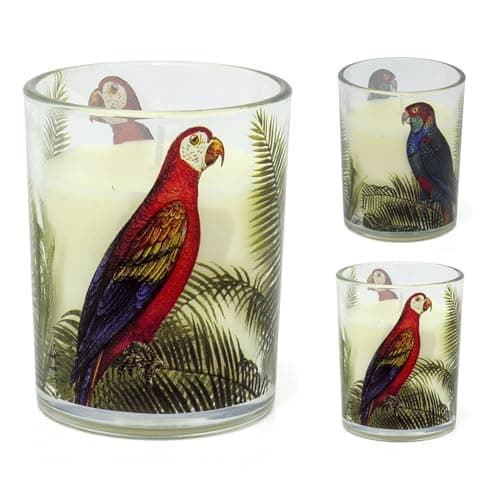 Image of Carousel Home Parrot Palm Boxed Candle | Glass Candle Holder With Scented Candle | White Wax Fragranced Candle in Glass Jar Aromatherapy Candle Gift - Fragrance/Design Varies One Supplied