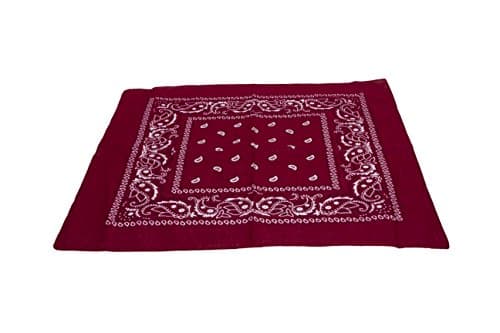 Image of M MACAHEL Cotton Paisley Design Bandana (Dark Red)