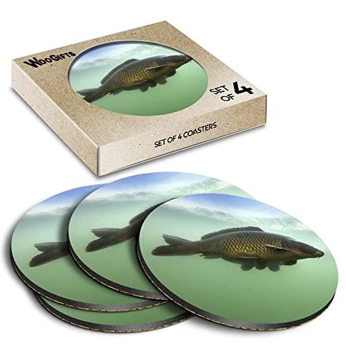 Image of 4 x Round Coasters - Common Carp Fish River Fishing Cork Backed MDF Glossy Tea Coffee Accessory #50589