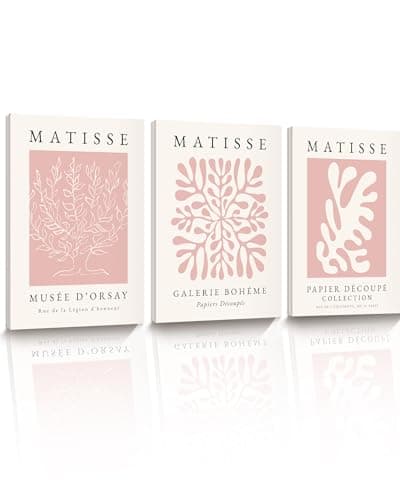 Image of HesenDot Matisse Pink Framed Wall Art,30x40CM Abstract Prints Wall Decor,Boho Posters Wrapped Canvas Wood Frame,Aesthetic Home Decoration for Living Room Bedroom Bathroom Office,Set of 3