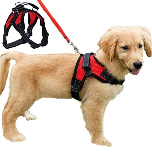 Image of Dog Harness Mesh Breathable Comfortable Pet Vest No Pull Adjustable Soft Padded Dog Power Strap (S, Red)