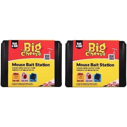 Image of The Big Cheese Mouse Bait Station Unbaited x4,color may vary