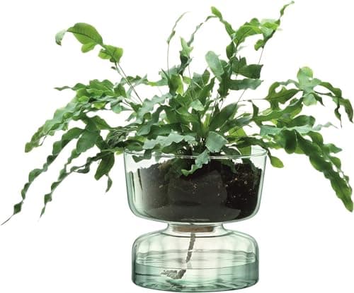 Image of LSA Canopy Self Watering Planter H13cm Recycled/Part Optic | 1 unit | Recycled Glass | CQ15