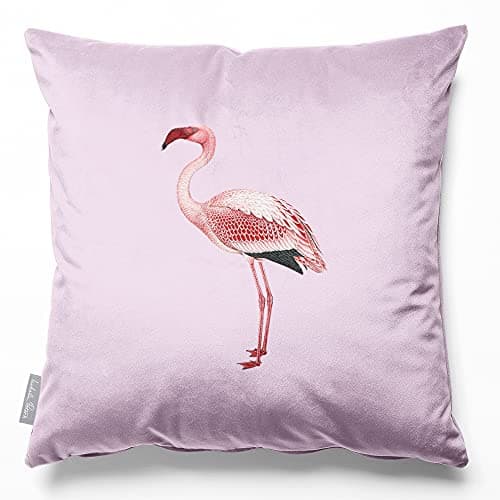 Image of Izabela Peters Velvet Cushions - Eco-Friendly, Filled, 40 cm, Blush Pink Flamingo - Chair, Sofa & Seat Cushions