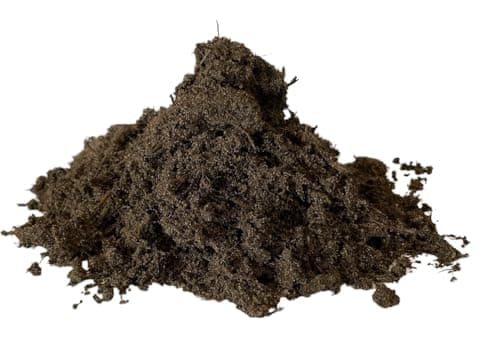 Image of Cactus Bonsai Compost 500g Miracle Gro Cactus Compost Substrate Soil Compost