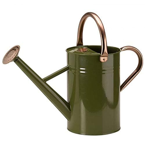 Image of GroZone Smart Garden 4.5L Sage Green Watering Can