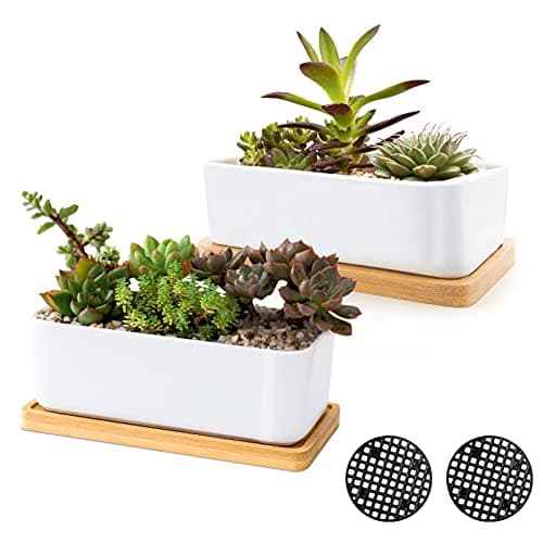Image of ARVINKEY White Ceramic Succulent Planters, Indoor and Outdoor Succulent Planters, Set of 2 Small Cactus Containers, Bonsai Pots, Flower Pots with Drainage Hole and Bamboo Bowl (No Plant)
