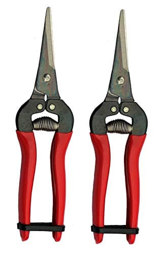 Image of ARS HP-300L Needle Nose Fruit Pruners (2 Pack)