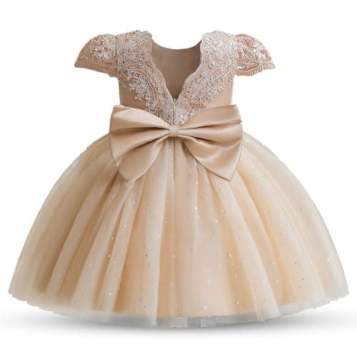 Image of TTYAOVO Baby Girl Flower Dresses Birthday Party Tutu Dress Size (100) 2-3 Years 07 Champagne-T