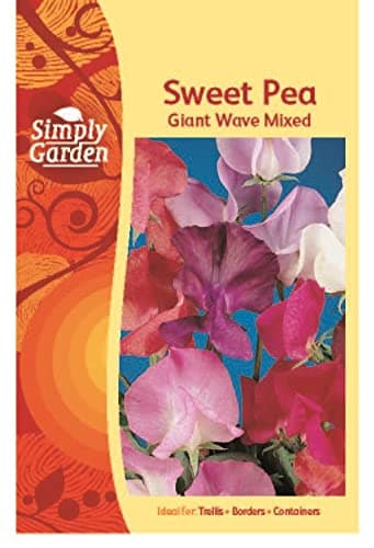 Image of Simply Garden Sweet Pea Giant Wave Mixed Seeds Grow Your Own Flowers Plants