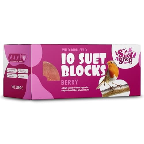 Image of Suet Shop - Berry Flavoured Suet Blocks for Wild Birds, 300g (Pack of 10) - Enriched with Human Grade Beef Tallow, High in Energy & Protein - All-Season Bird Feed - Manufactured In The UK