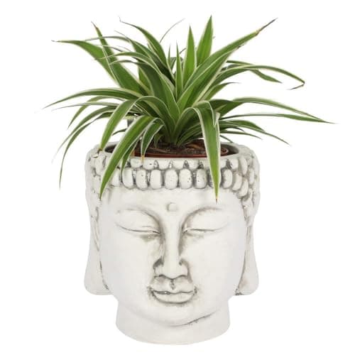 Image of Spirit of Equinox Elegant White Terracotta Buddha Head Planter - 20cm x 20cm (1 Pc.) - Zen Vibes, Unique Eye-catching Design Home Decor - Perfect for Indoor Plants