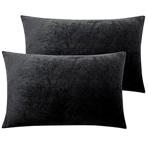 Image of NTBAY 2 Pack Zippered Velvet Queen Pillowcases, Super Soft and Cozy Luxury Fuzzy Flannel Pillow Cases with Zipper, 20x30 Inches, Black