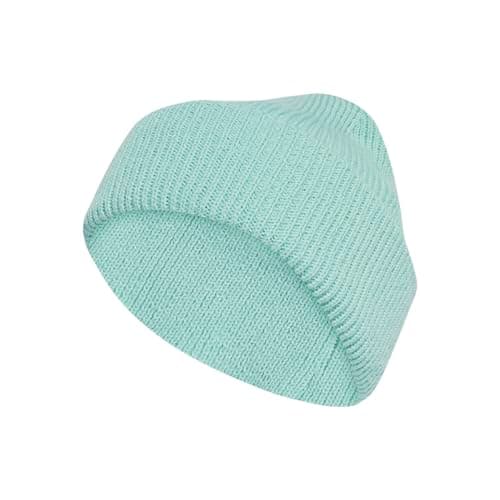 Image of adidas Unisex Terrex Multi Beanie, Semi Flash Aqua, M