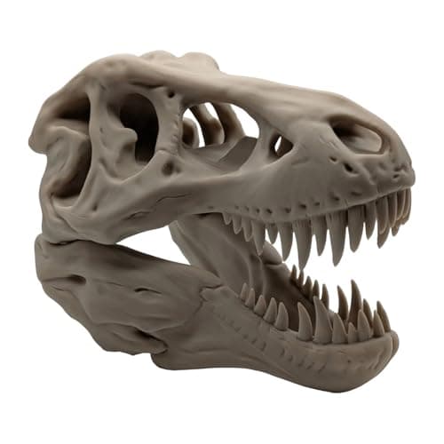 Image of Bucury T-Rex Skull 3D Printed Tyrannosaurus Rex Fossil Replica Jurrasic