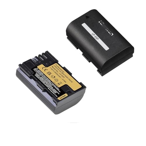 Image of 2850mAh LP-E6P LP E6P Battery，Compatible For Canon，for EOS R5 Mark II 5D Mark III(2xBattery)