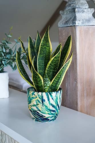 Image of Ivyline Indoor Ceramic Monza Plant Pot Botanical Fern Green Planter 17cm
