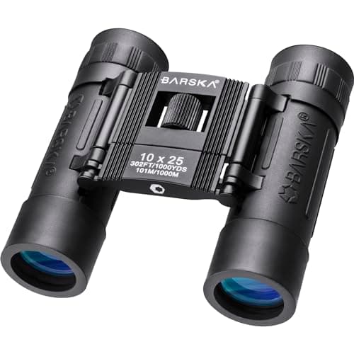 Image of Barska Lucid View 10 X 25 Binoculars Black Compact Lightweight Fully Coated Optics Bright Images Protective Rubber Armor Firm Grip Field Use Backpacking Pocket Size Ideal Travel Concerts Sport Events
