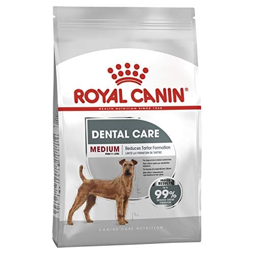 Image of Royal Canin Medium Dental Care Dog Food 10kg
