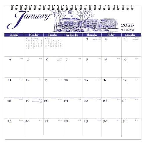 Image of AT-A-GLANCE 2026 Wall Calendar, 12" x 12", Medium, Illustrator’s Edition (G10001726)