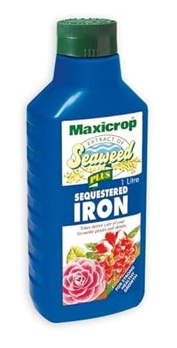 Image of Maxicrop 2 X 140251 1 Litre Seaweed Plus Sequestered Iron