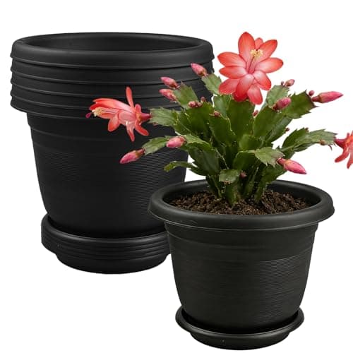 Image of TEYIAN 6Pack 15.5cm/6.1-in Plant Pots Indoor Plastic Flower Pots with Drainage Holes and Saucers Modern Decorative Planters Succulent Indoor Outdoor Plants - Black