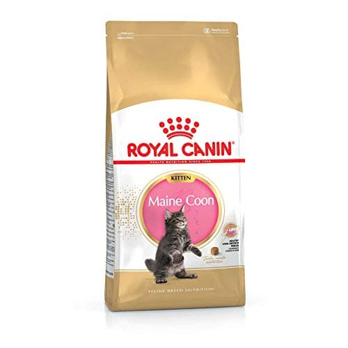 Image of Royal Canin Maine Coon Kitten Dry Food 400g