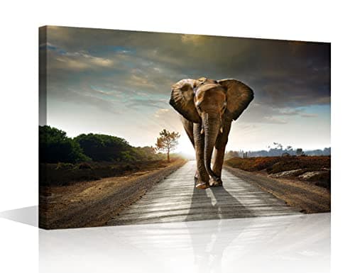 Image of African Wild Elephant Landscape Decoration Art Abstract Painting Canvas Wall Art Canvas Pictures for Wall Bedroom Ready to Hang for Living Room Bedroom Home Decor Framed 8x12inch