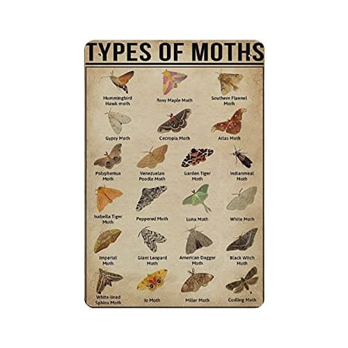 Image of Hdadwy Knowledge Type of Moth Species Tin Sign Metal Plaque Art Hanging Iron Painting Retro Home Kitchen Garden Garage Wall Decor 12"x8"