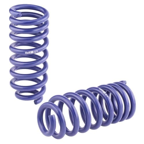 Image of H&R Lowering Springs compatible with BMW 5-Series E39 Touring 1998- FA40mm